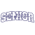 Senior-Class of 2027 Logo